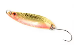 כפית לכינרת